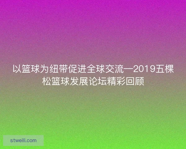 以篮球为纽带促进全球交流—2019五棵松篮球发展论坛精彩回顾